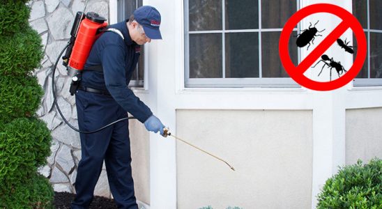 Kurşunlu Kene İlaçlama böcek ilaçlama ve haşere kontrolü — ilaclama-tr.com